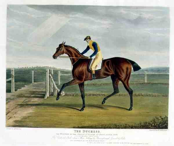 Vévodkyně, vítězka dostihu Great St. Leger v Doncasteru od John Frederick Herring Snr