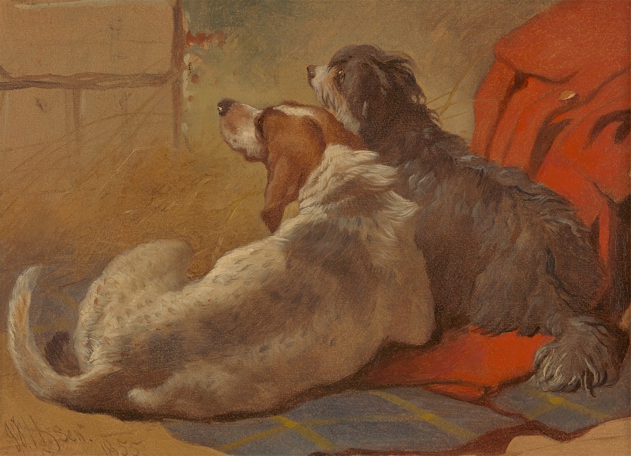 Ohař a Bearded kolie sedící na loveckém kabátě od John Frederick Herring