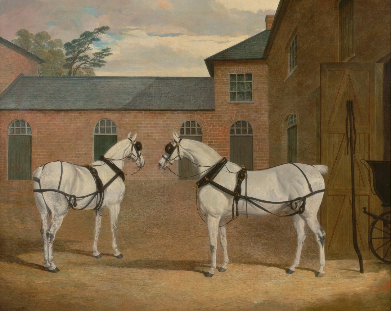 Šedí kočároví koně v kočích v Putteridge Bury, Hertfordshire od John Frederick Herring
