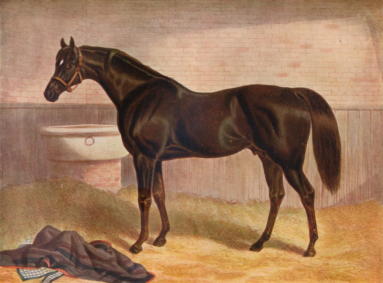 "Gladiátor", 19. století od John Frederick Herring I
