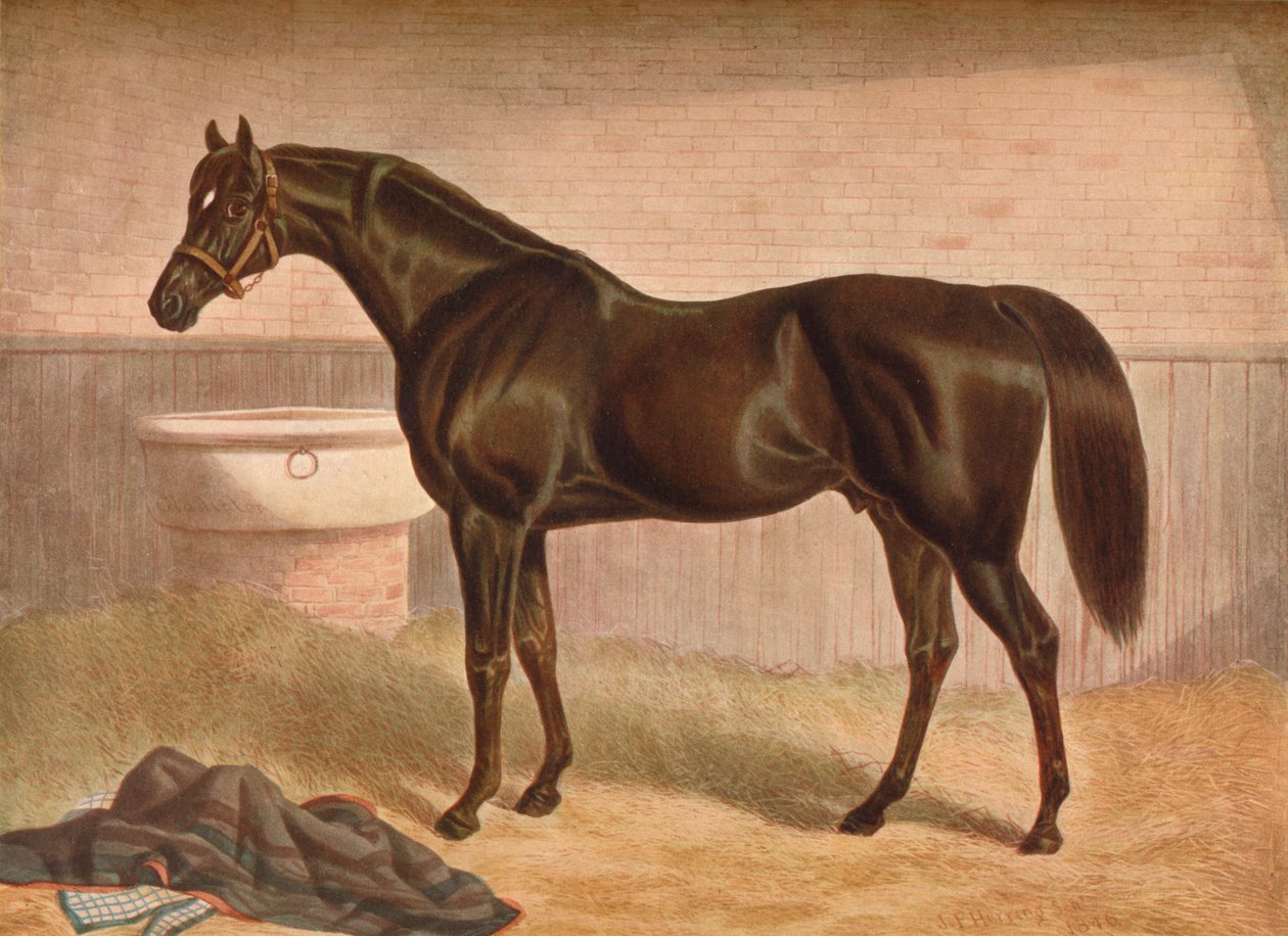 Gladiátor, 19. století, 1903 od John Frederick Herring I