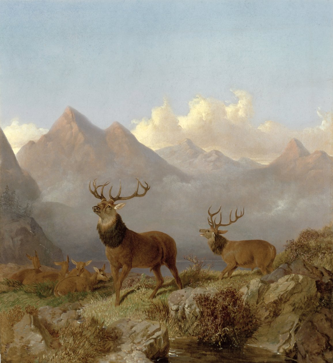 Detail jelenů a laně v krajině Vysočiny, 1864 od John Frederick Herring Junior