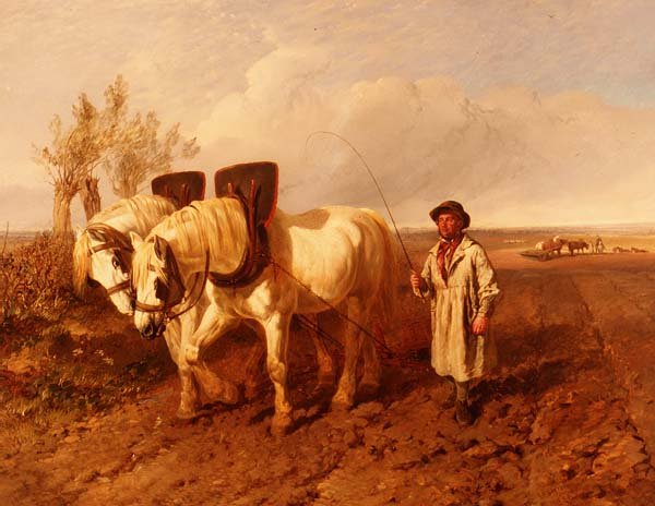 Orba od John Frederick Herring Jnr