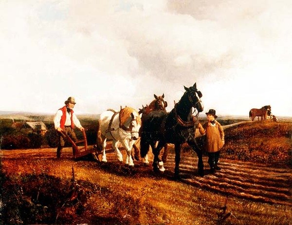 Orba od John Frederick Herring Jnr