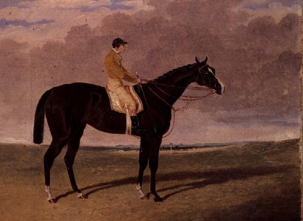 Queen of Trumps, hnědák dostihový kůň s žokejem od John Frederick Herring Jnr