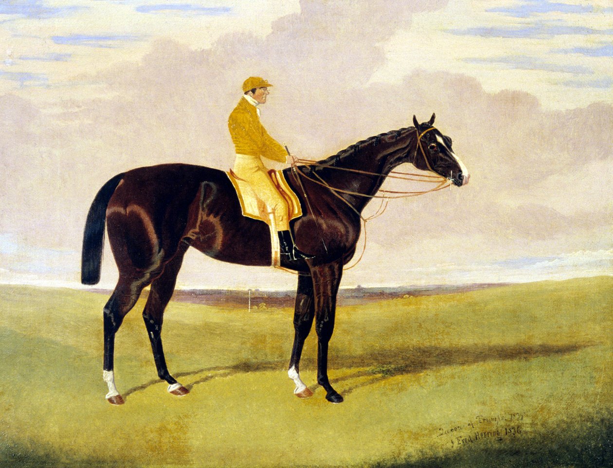 "Trumpová královna" s Lye od John Frederick Herring Jnr
