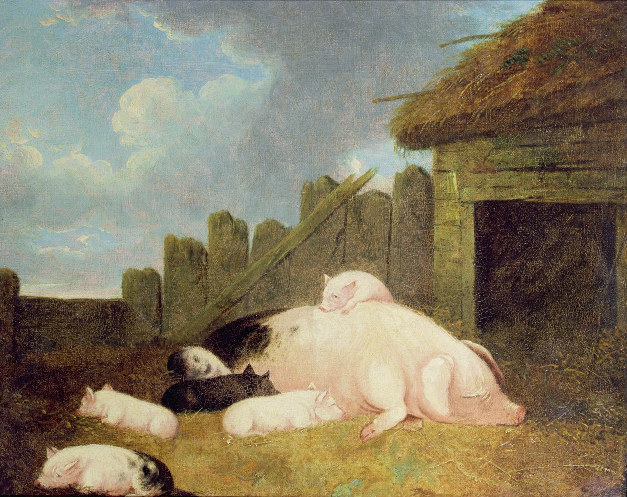 Prasnice se selaty v chlívku od John Frederick Herring Junior