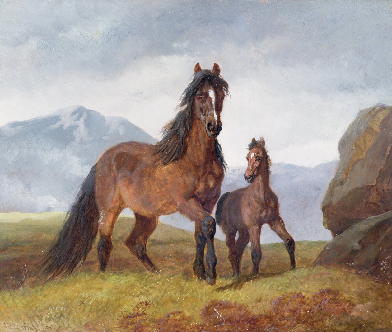 Velšská horská klisna a hříbě, 1854 (panel) od John Frederick Herring Senior
