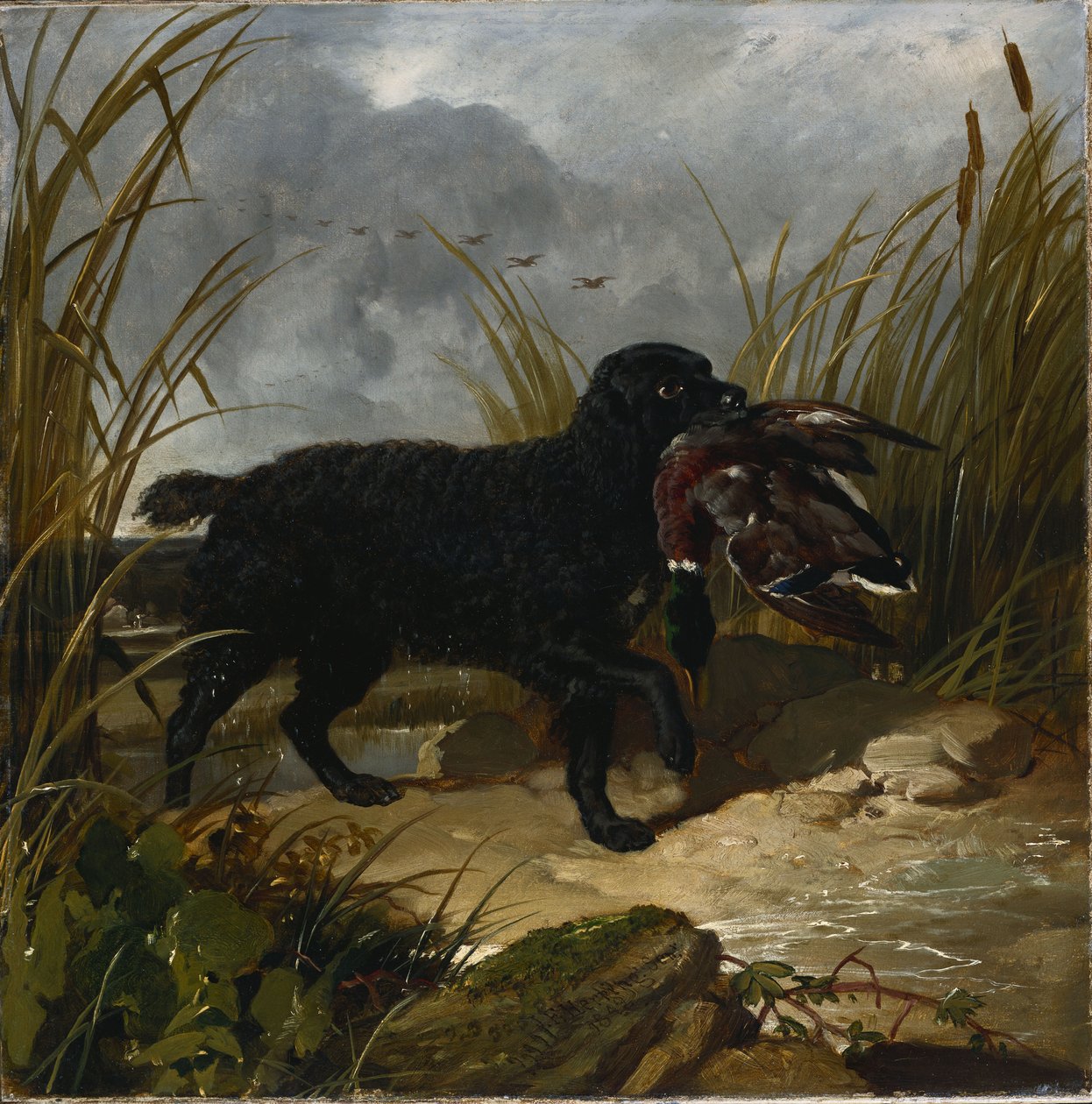 Irský vodní španěl při získávání divokých draků, 1849 od John Frederick Herring Senior