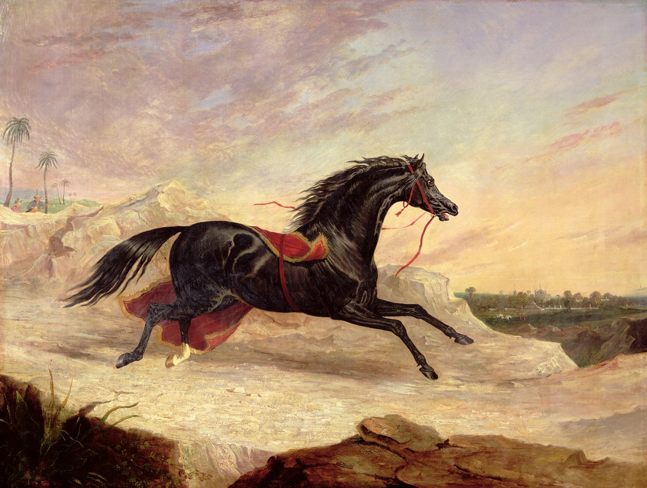 Arabové honí volného arabského koně ve východní krajině od John Frederick Herring Senior