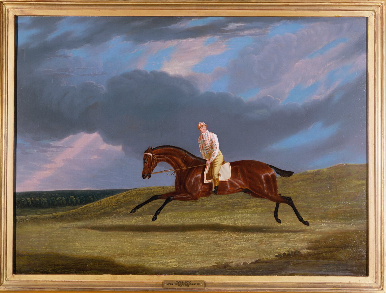 "Manšestr", hnědý dostihový kůň, s žokejem, cválající na dostihové dráze od John Frederick Herring Senior
