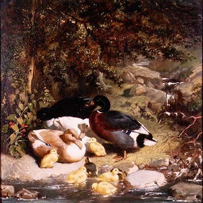 Kachny a kachňata od John Frederick Herring Senior