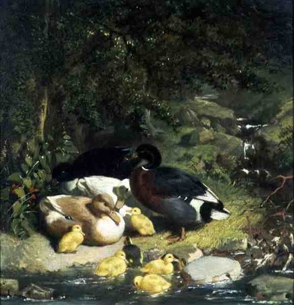 Kachny a kachňata od John Frederick Herring Senior