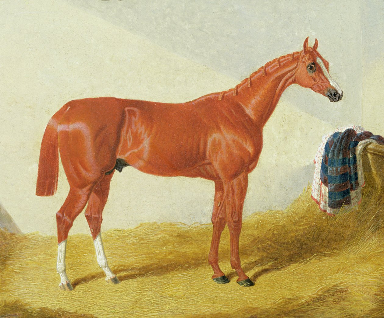 Elis, 1836 od John Frederick Herring Senior