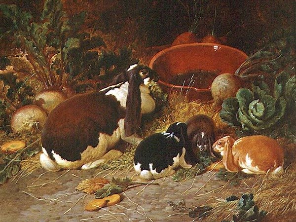 Fancy Rabbits, Laň se svým mládětem od John Frederick Herring Senior