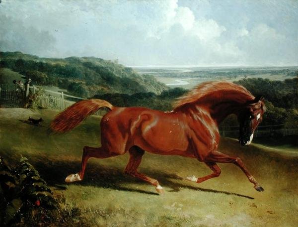 Cválající kůň v krajině (olej na plátně) od John Frederick Herring Senior