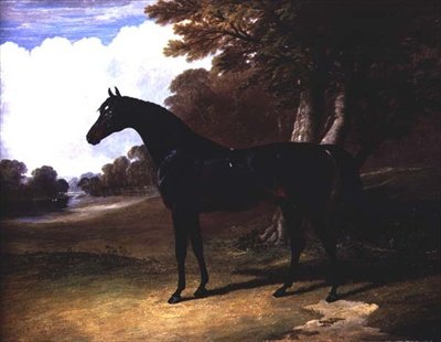 Gaucus, tmavý hnědák v zalesněné krajině (olej na plátně) od John Frederick Herring Senior