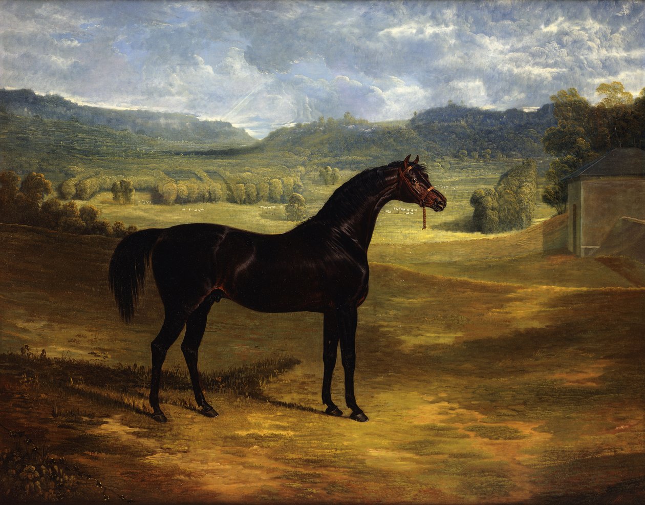 Jack Spigot, dostihový kůň Dark Bay v paddocku v Bolton Hall, 1824 od John Frederick Herring Senior