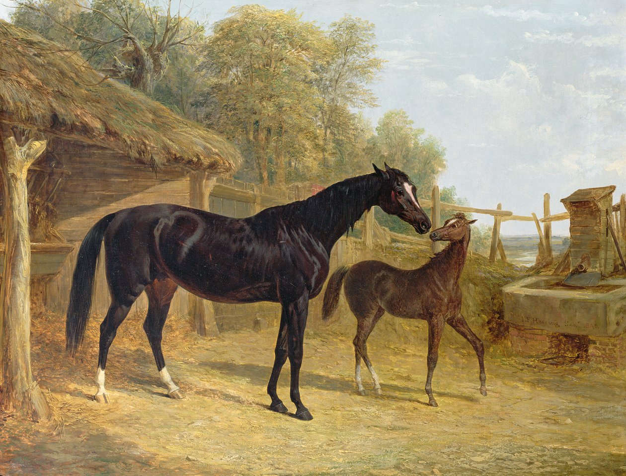 Levity, majetek J.C. Cockerilla Esq., se svým hříbětem královnou Alžbětou, majetek lorda Dorchestera, 1843 od John Frederick Herring Senior