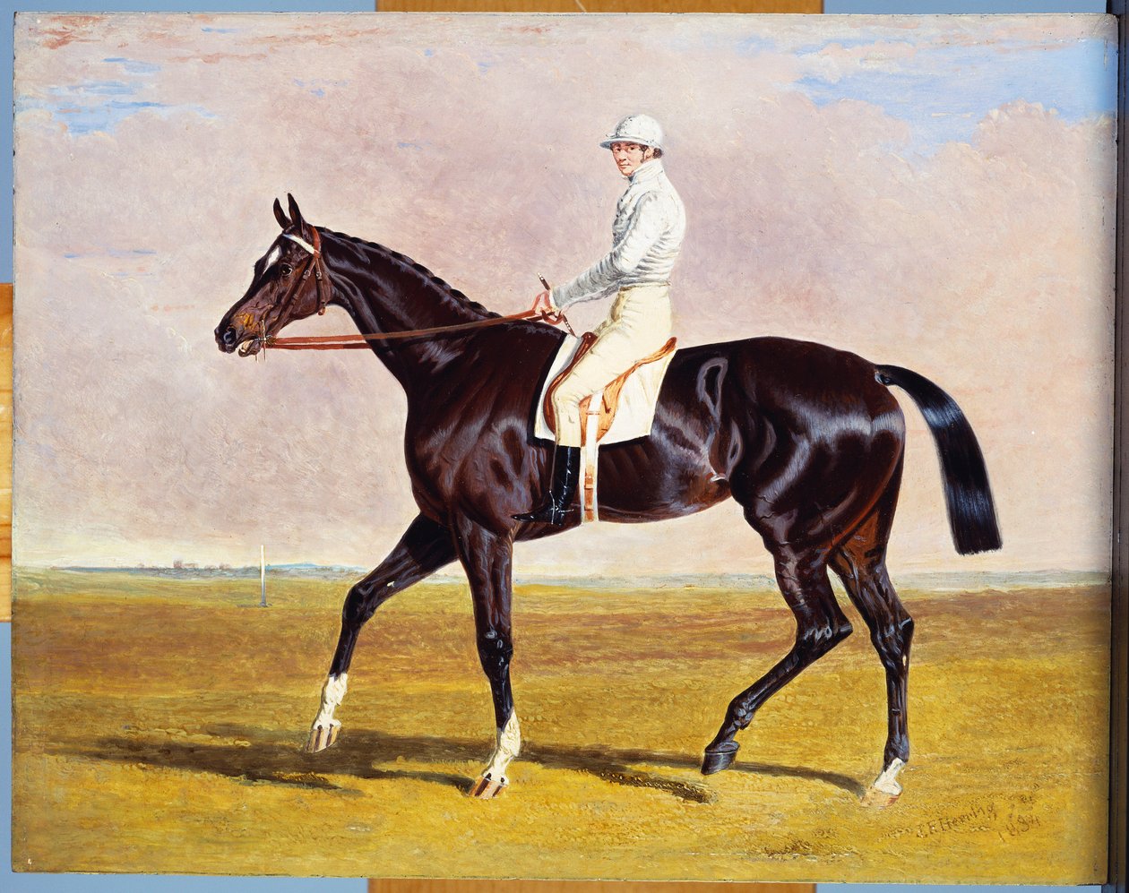 Lucetta“ s J. Robinsonem Up, 1834 od John Frederick Herring Senior