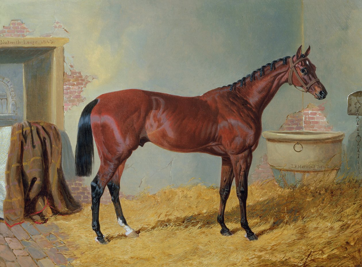 "Nutwith" pana S. Wrathera ve stáji od John Frederick Herring Senior