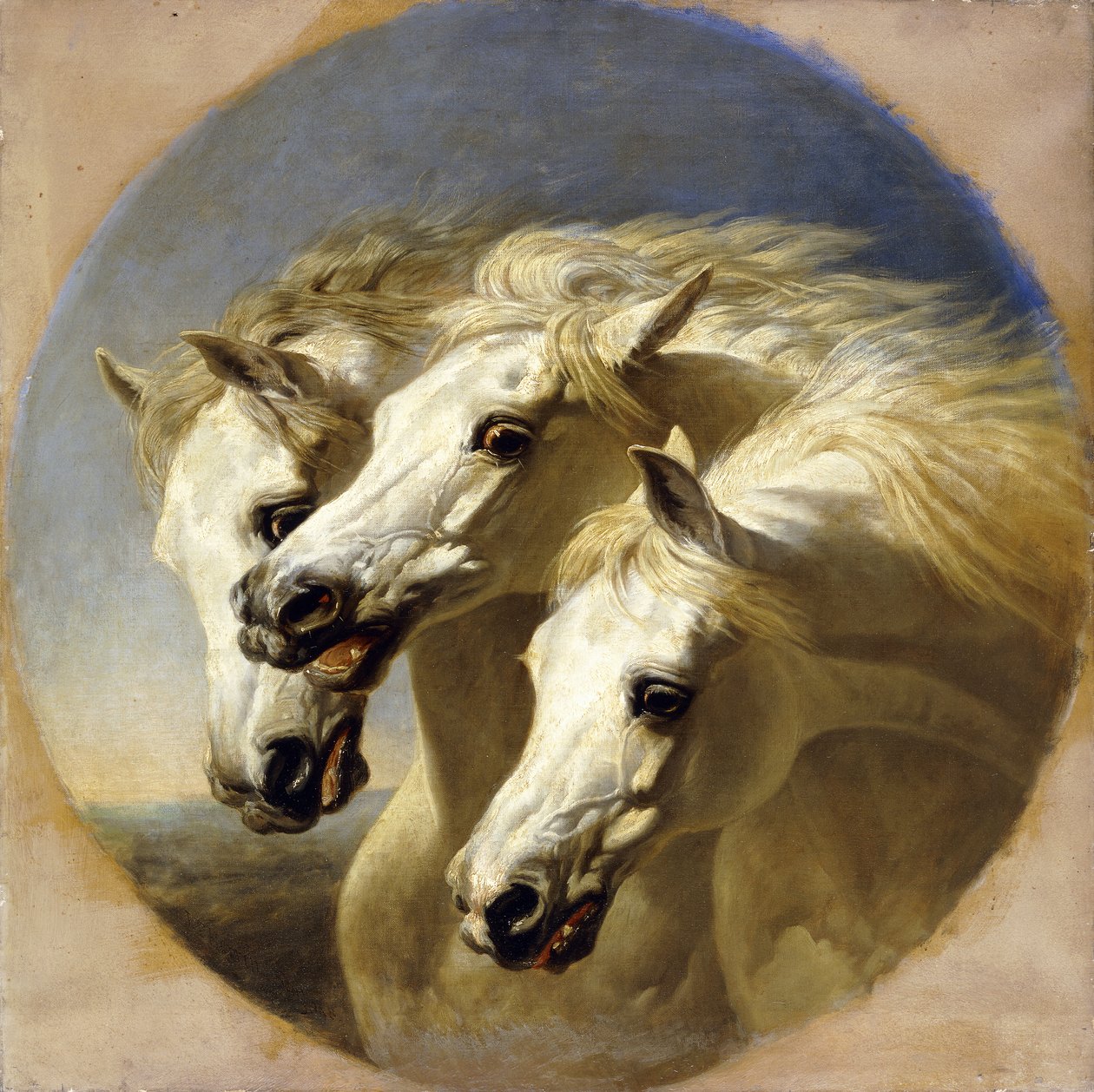Faraonovi koně, 1848 od John Frederick Herring Senior