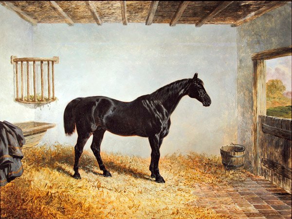 Portrét hřebce stojícího ve stáji (olej na panelu) od John Frederick Herring Senior