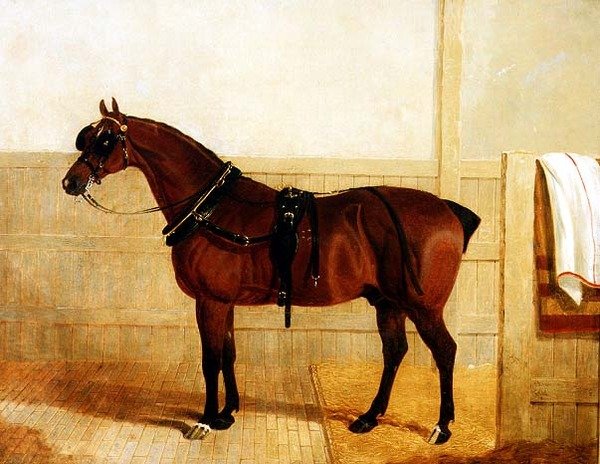 Cena Shire Horse v postroji od John Frederick Herring Senior