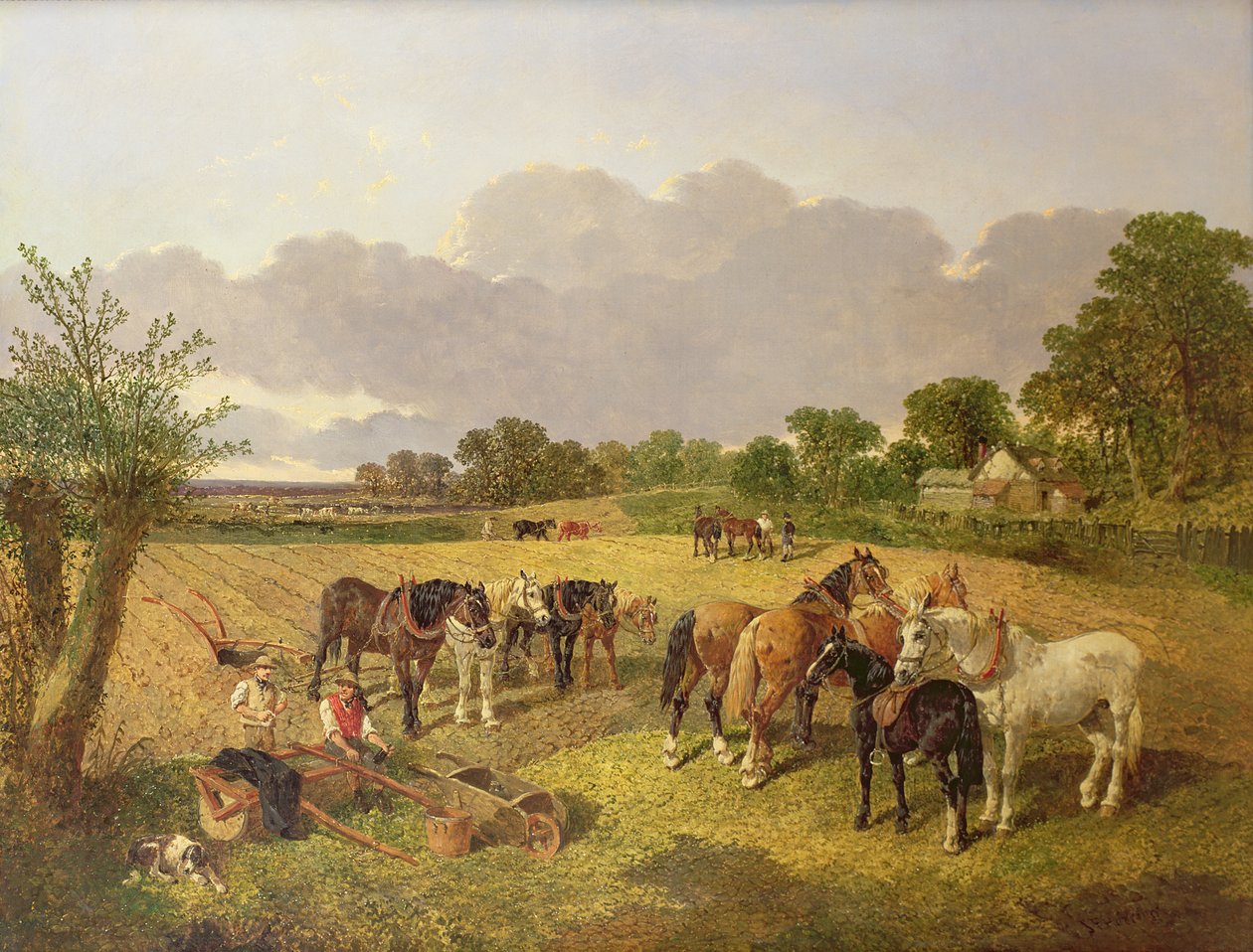 Tým odpočívacího pluhu od John Frederick Herring Senior