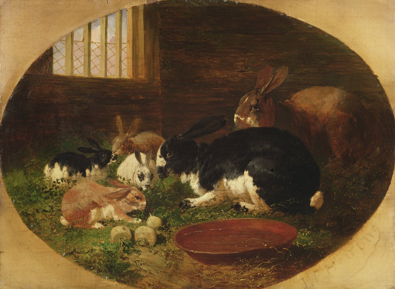 Králičí bouda od John Frederick Herring Senior