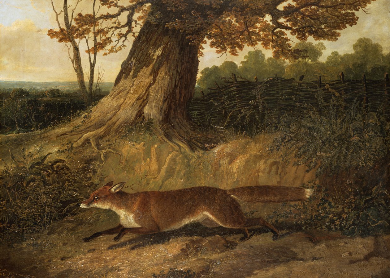 Neznámý obrázek od John Frederick Herring Senior