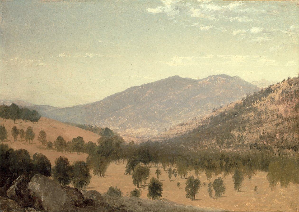 Bergen Park, Colorado (olej na plátně) od John Frederick Kensett