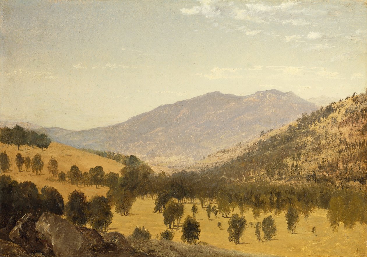 Bergen Park, Colorado, od John Frederick Kensett