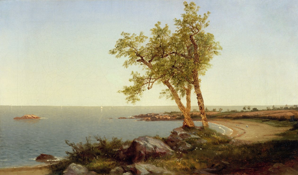 Pobřežní linie v létě (olej na plátně) od John Frederick Kensett