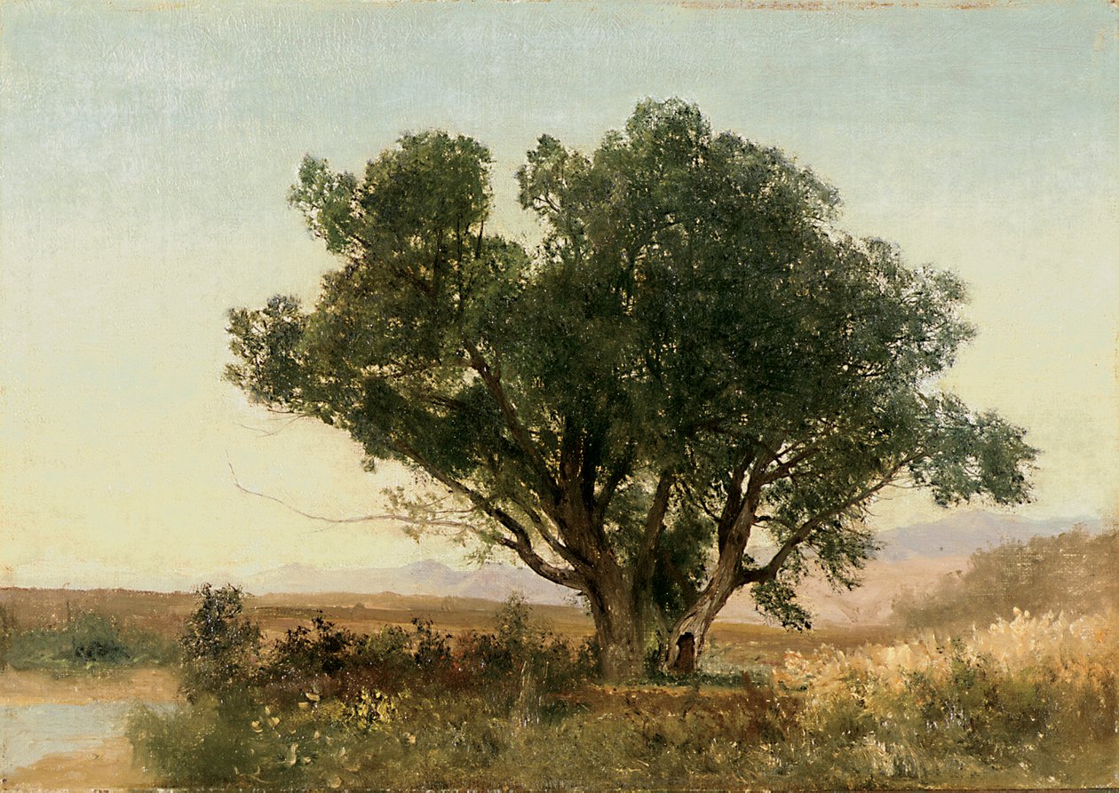 Front Range, Colorado od John Frederick Kensett