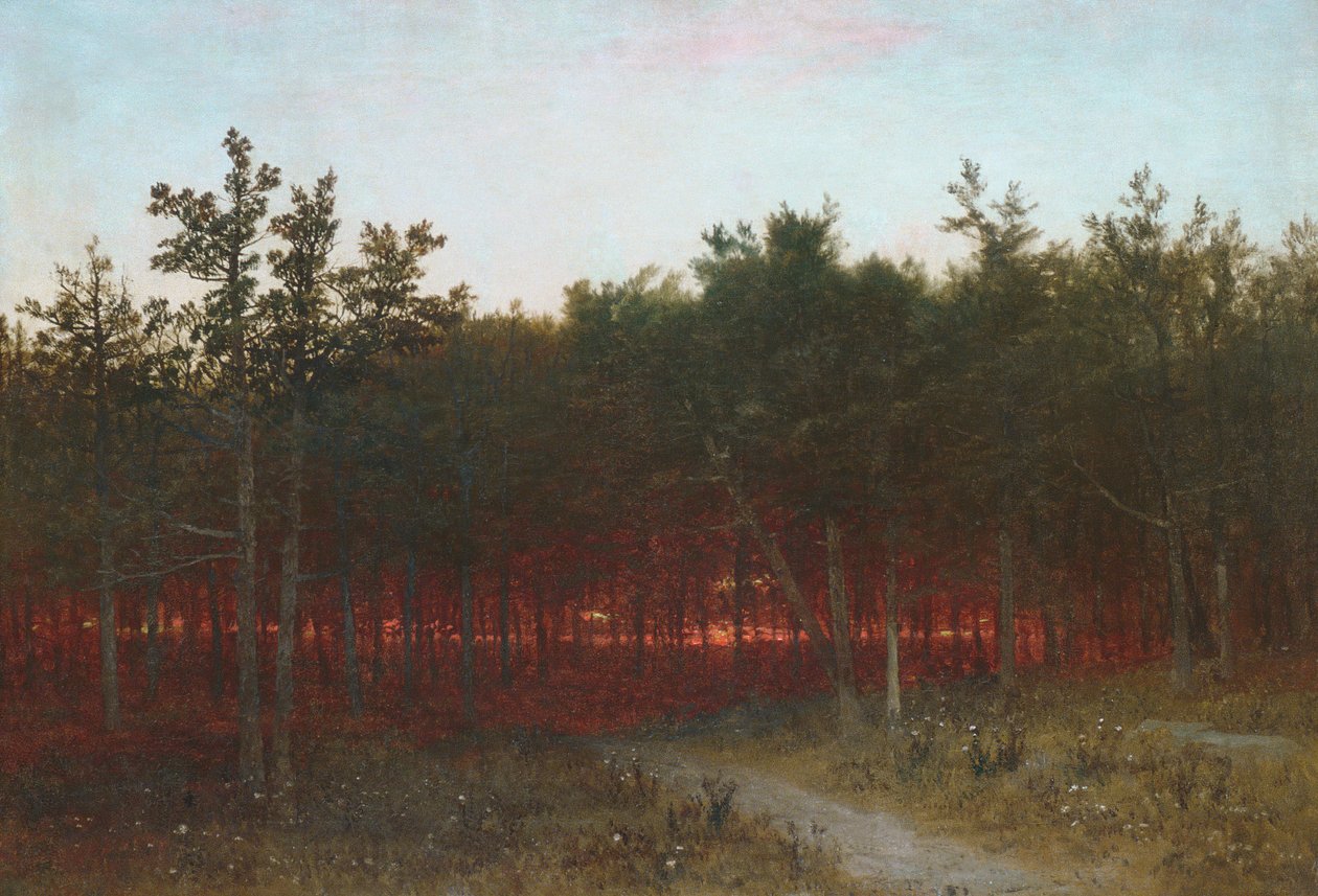 Soumrak v cedrech v Darien, Connecticut, 1872. od John Frederick Kensett