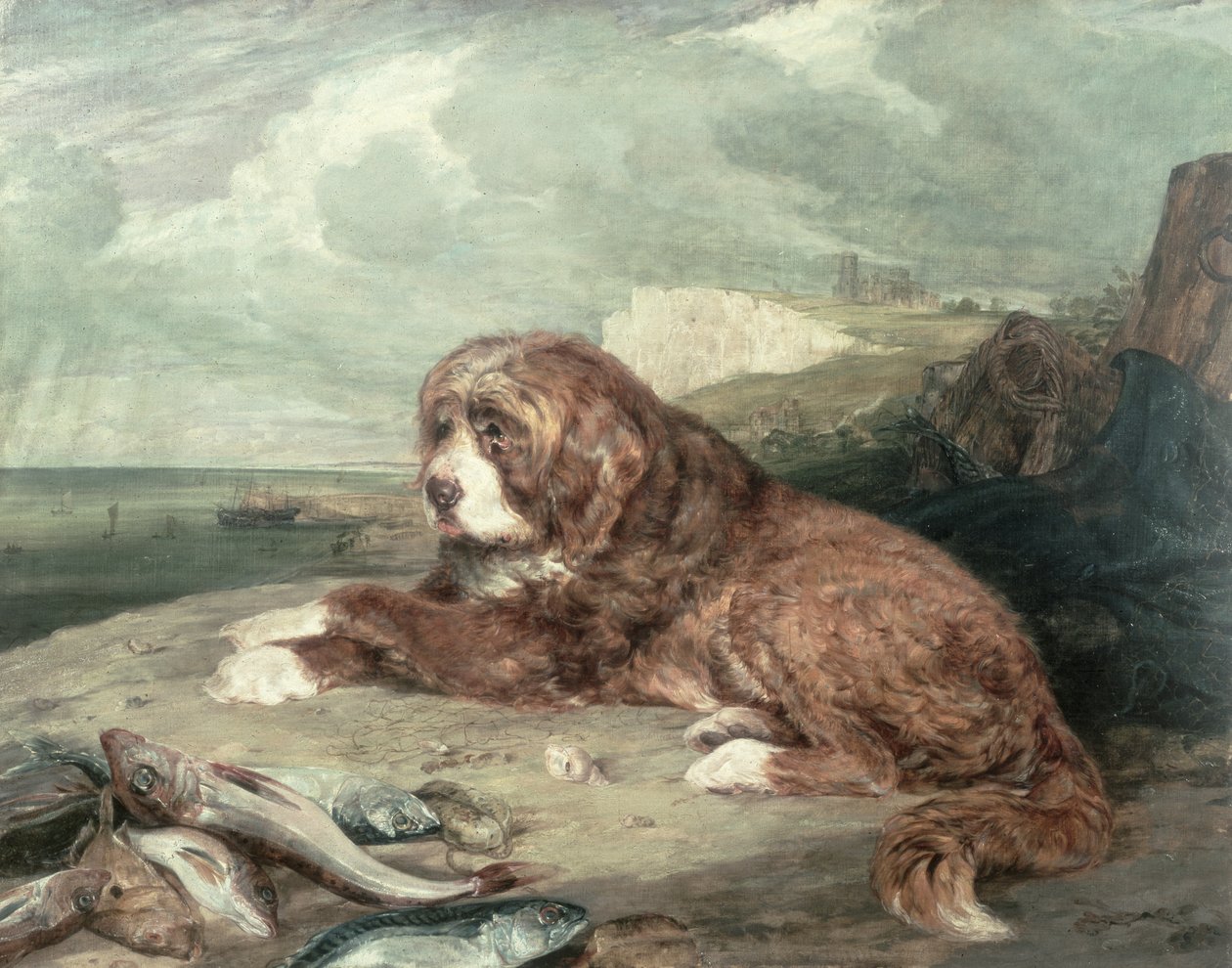Starý novofundlandský pes od John Frederick Lewis