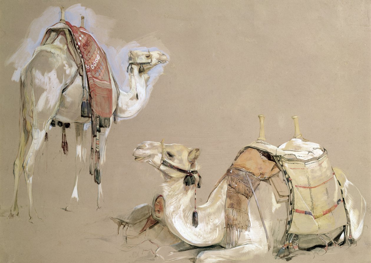 Velbloudí studia od John Frederick Lewis