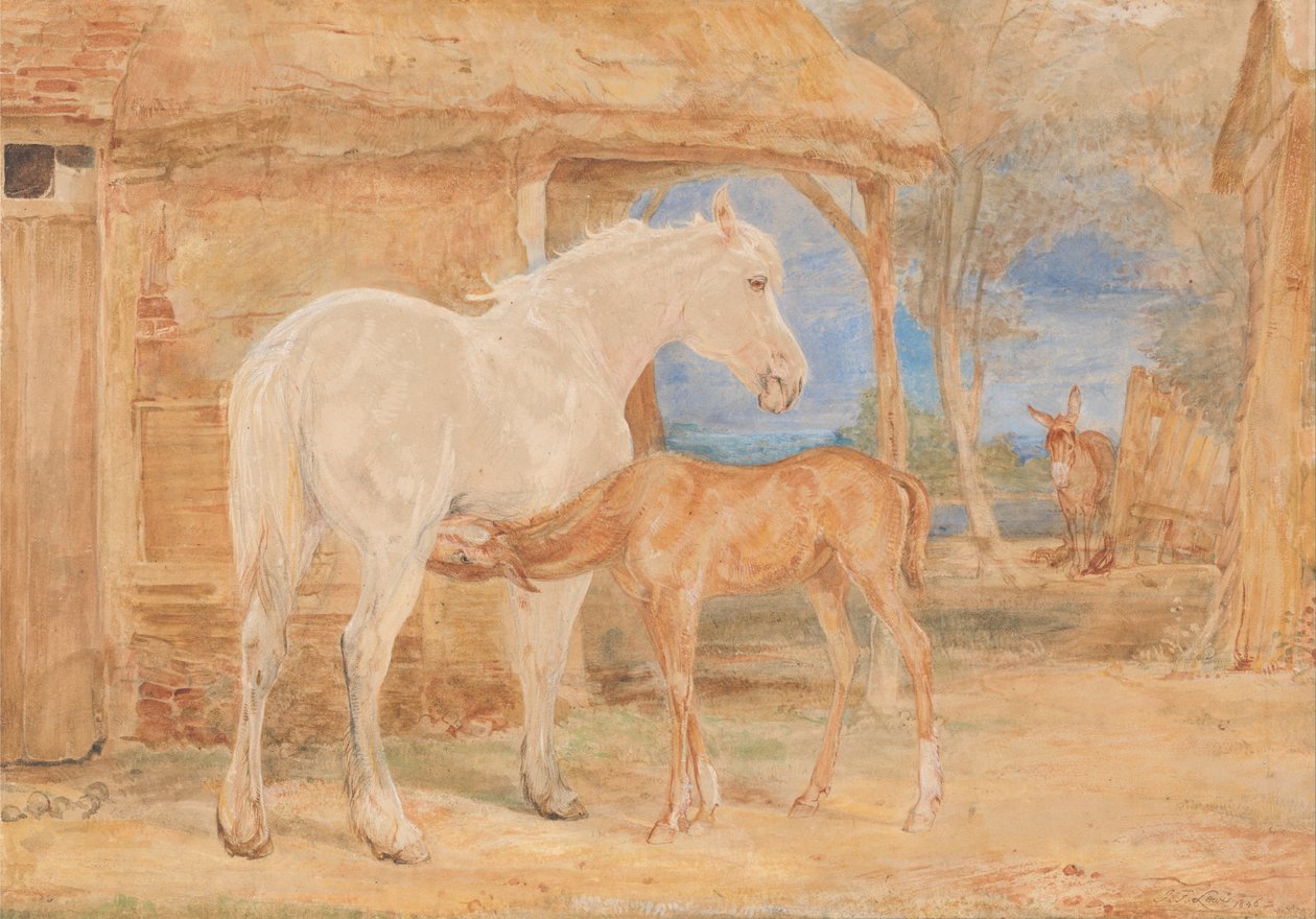 Šedá klisna a kaštanové hříbě od John Frederick Lewis