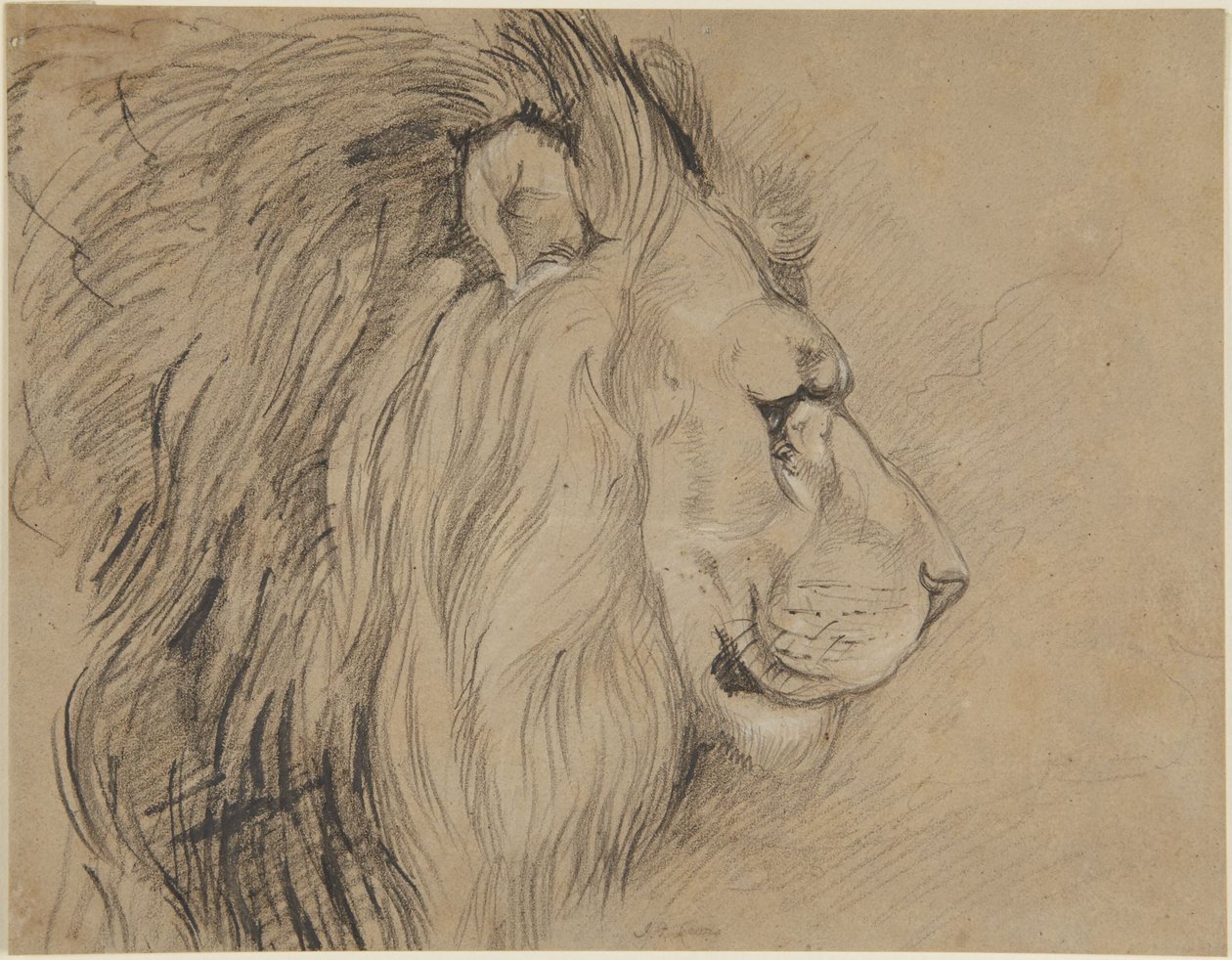 Lev od John Frederick Lewis