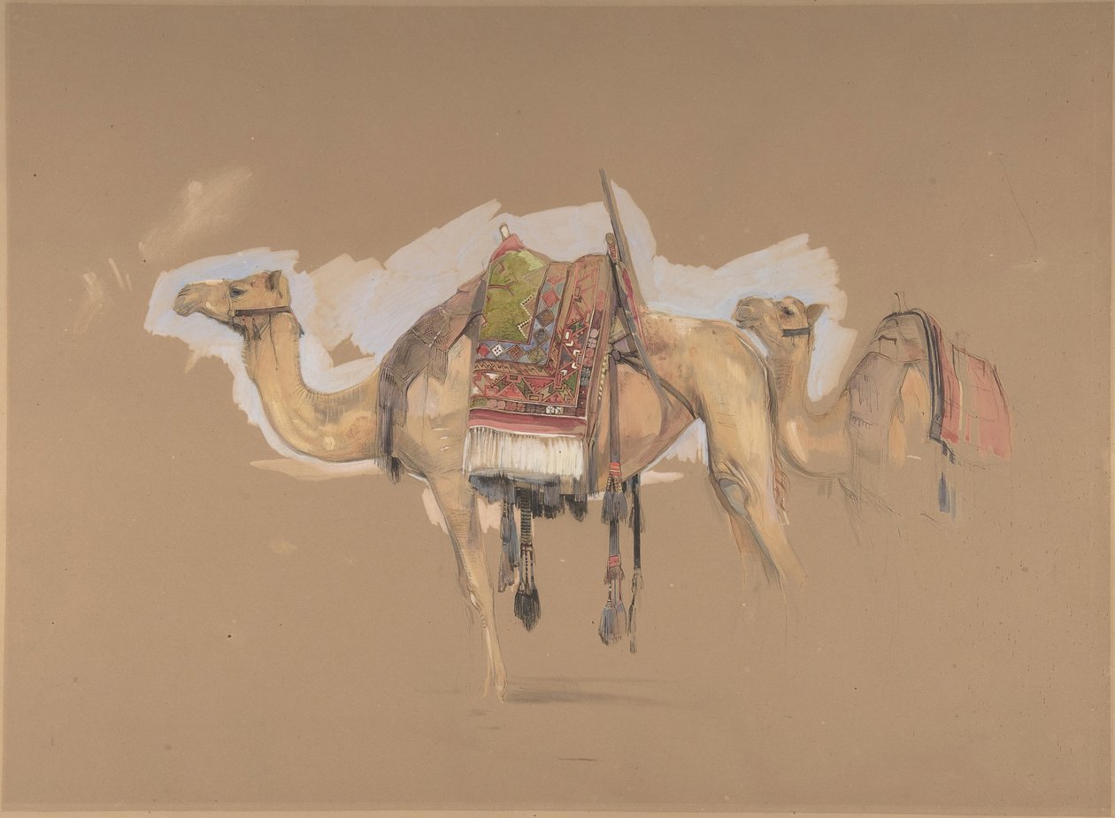Dva velbloudi, ca. 1843. od John Frederick Lewis