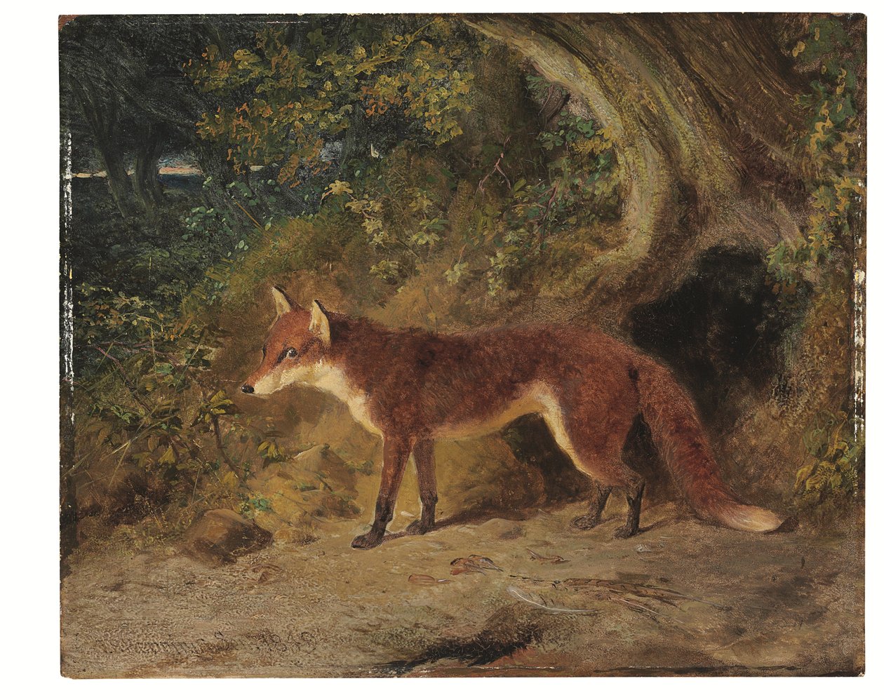  od John Frederick Senior Herring