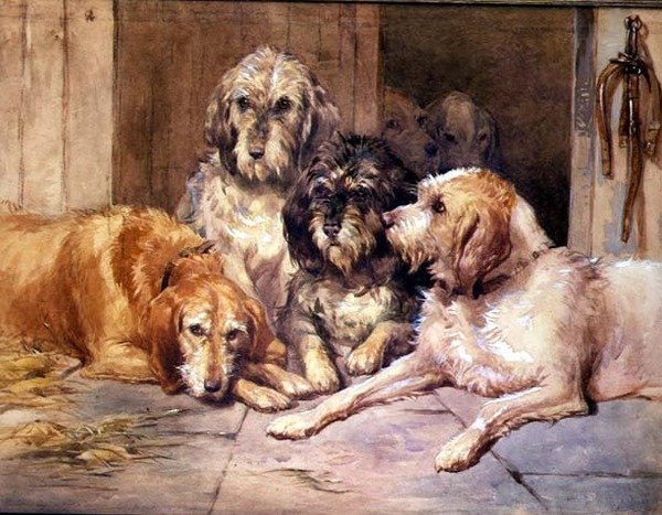 Vydří psi od John Frederick Tayler