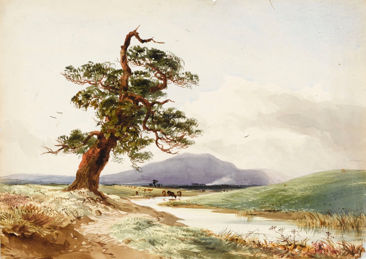 Pohled na strom u řeky s pijícím dobytkem a fialovým kopcem za ním od John Frederick William Herschel