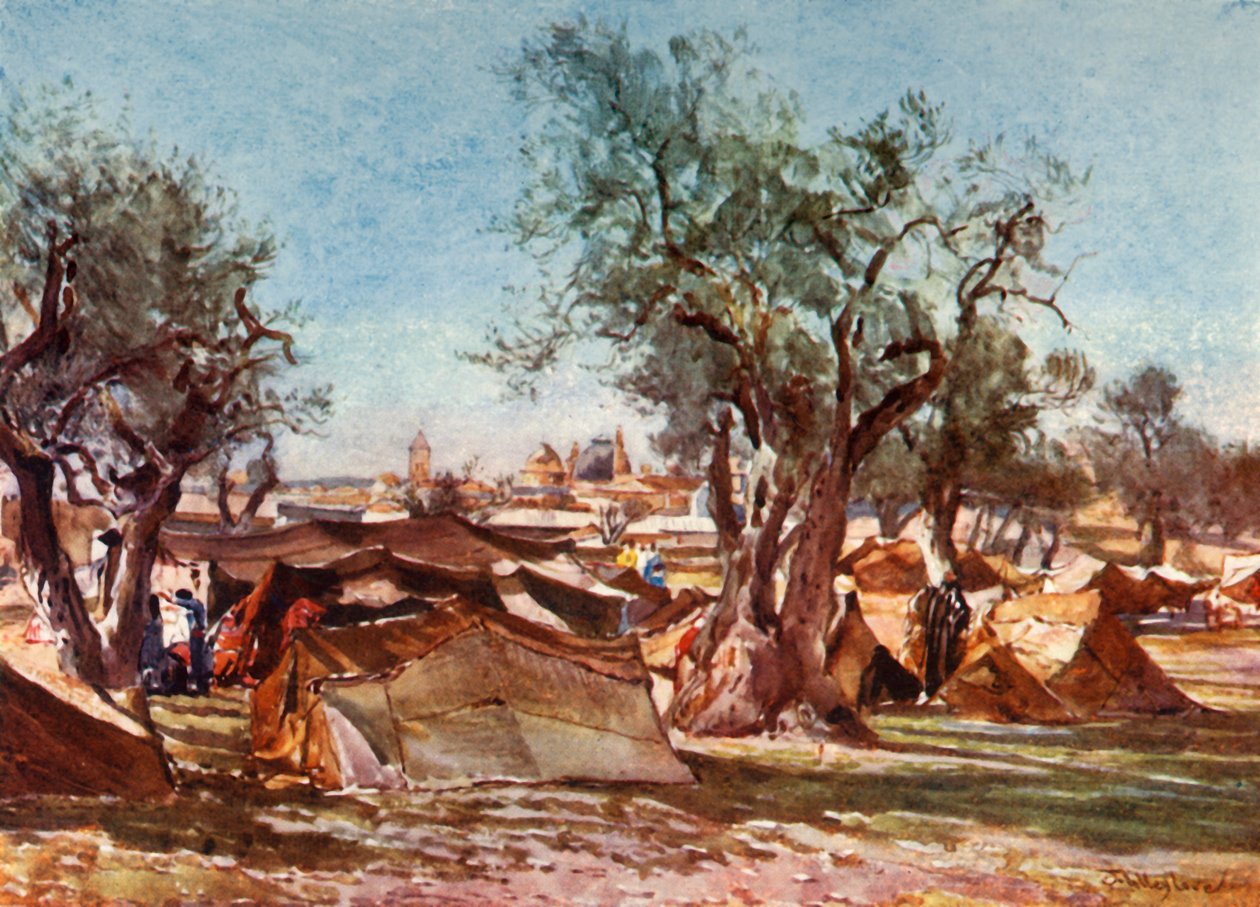 Beduínský tábor u severní zdi Jeruzaléma, 1902. od John Fulleylove