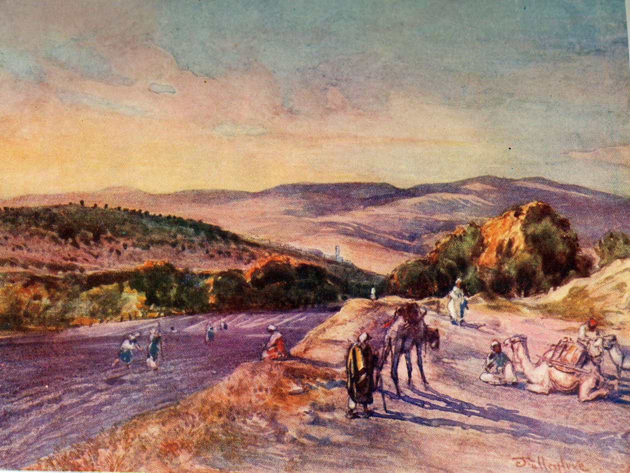 Místo starověkého města Samaří, 1902. od John Fulleylove