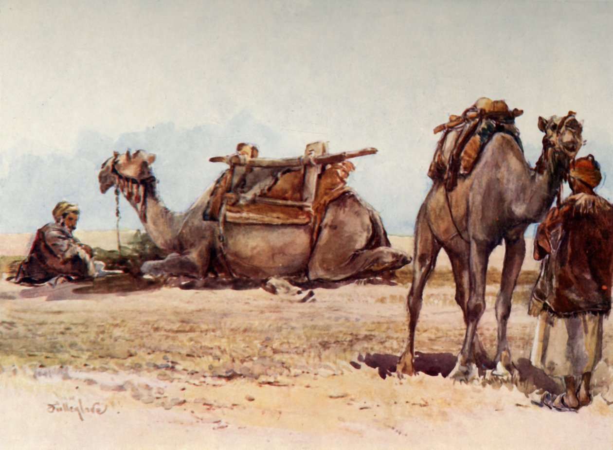 Studie o velbloudech a průvodcích, 1902. od John Fulleylove