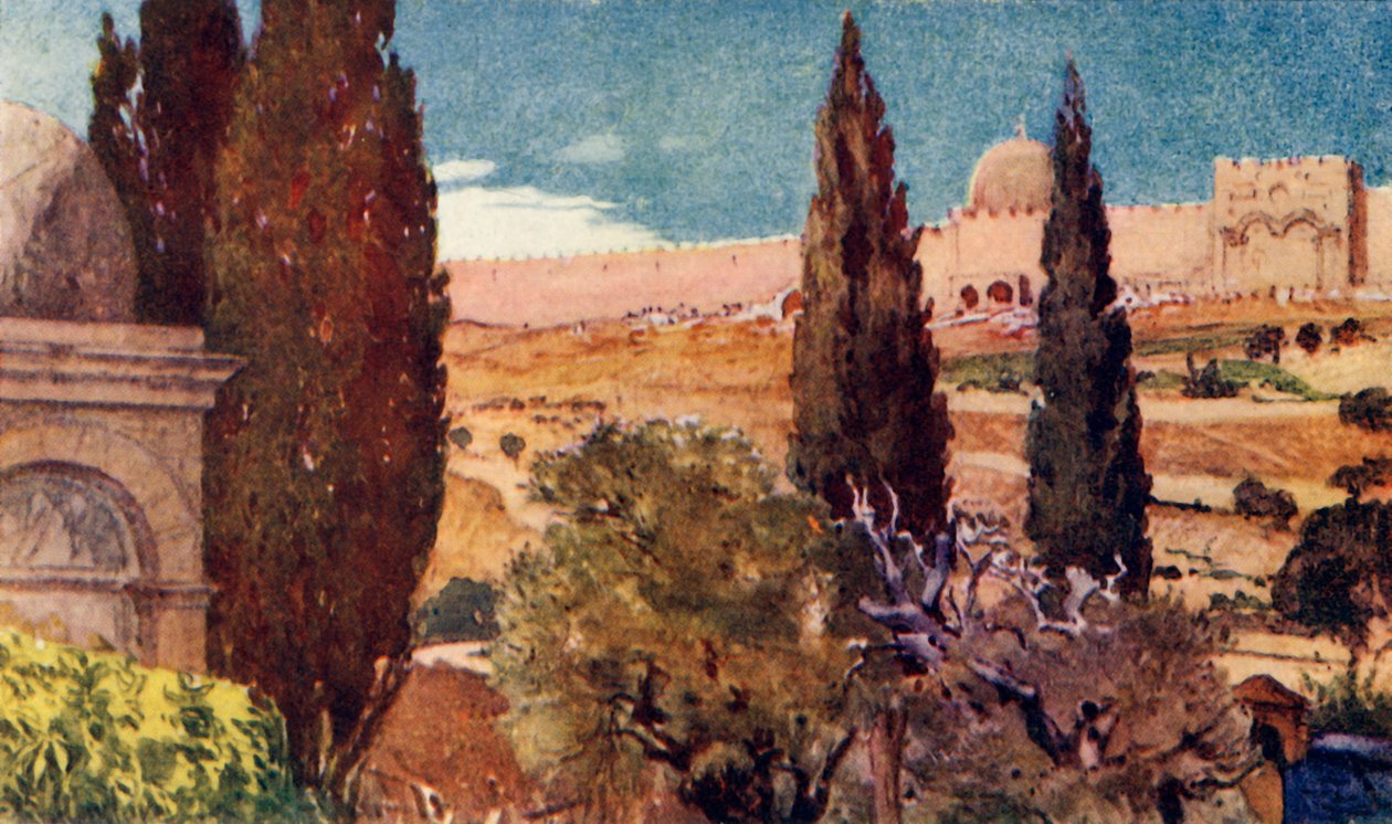 Cypřiše z Getsemanské zahrady, 1902. od John Fulleylove