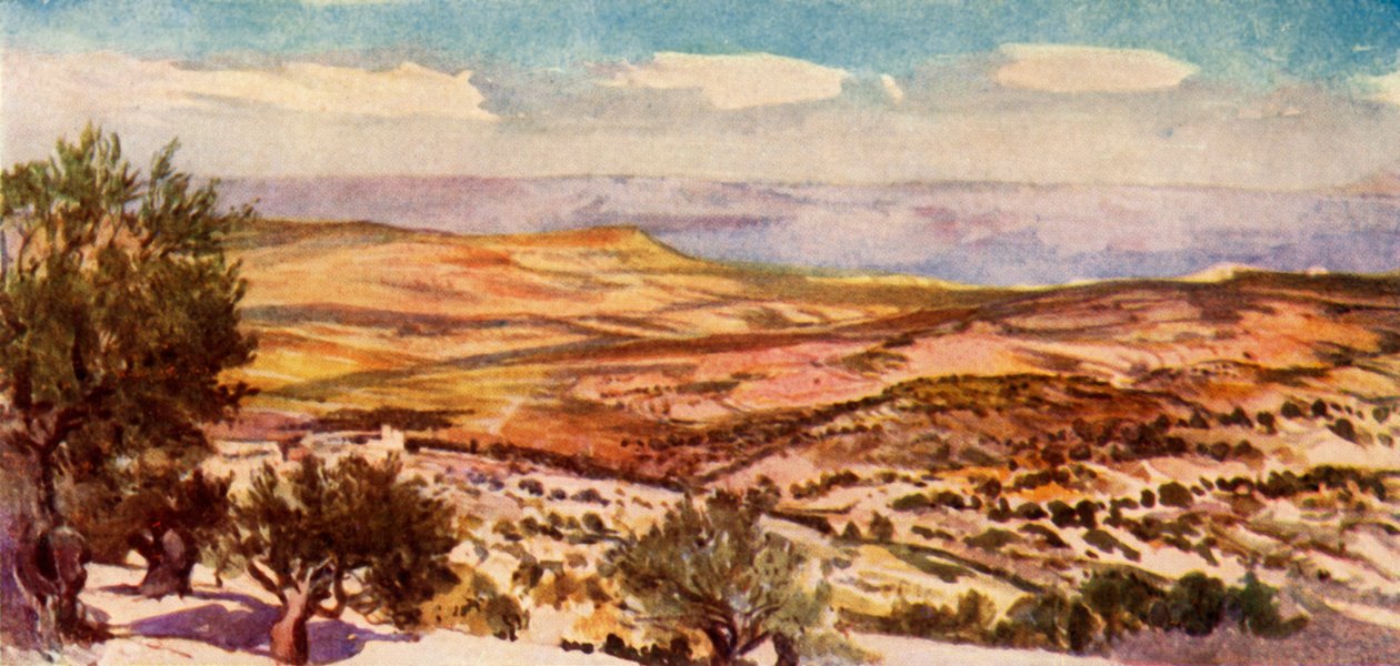 Pole Ruth a Boaz u Betléma, 1902. od John Fulleylove