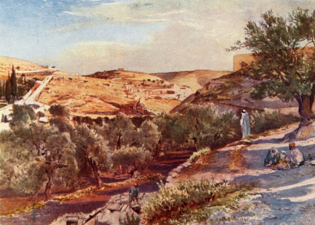 Horní údolí Kidron při pohledu na jih, 1902. od John Fulleylove